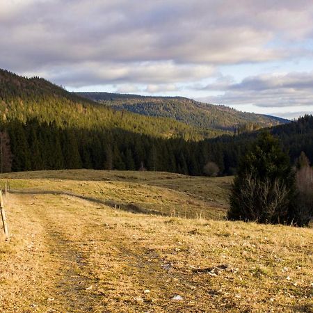 Gemuetliche Ferienwohnung - Mitten Im Schwarzwald 베르나우임슈바르츠발트 외부 사진
